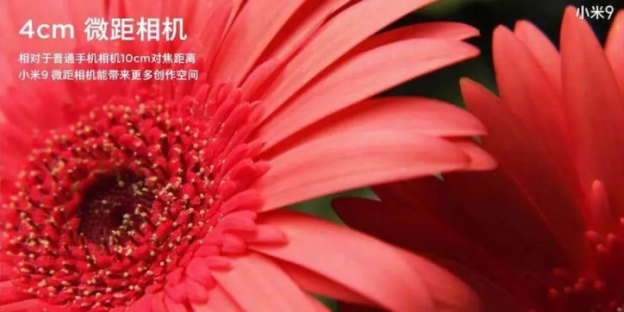 Xiaomi Mi 9: svelate le caratteristiche delle 3 fotocamere posteriori